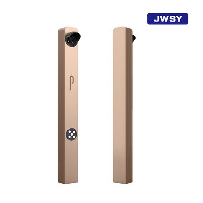 Parking Lot License Plate Recognition Camera System Column Auxiliary Camera With Fill Light